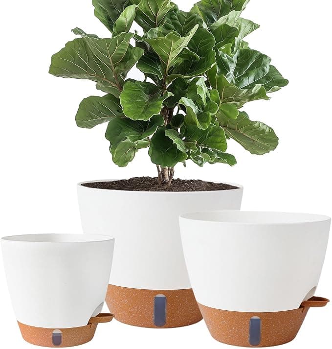 Self Watering Pots